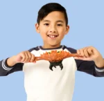 4ffabc31776908ce7c03fbcc30c5504d